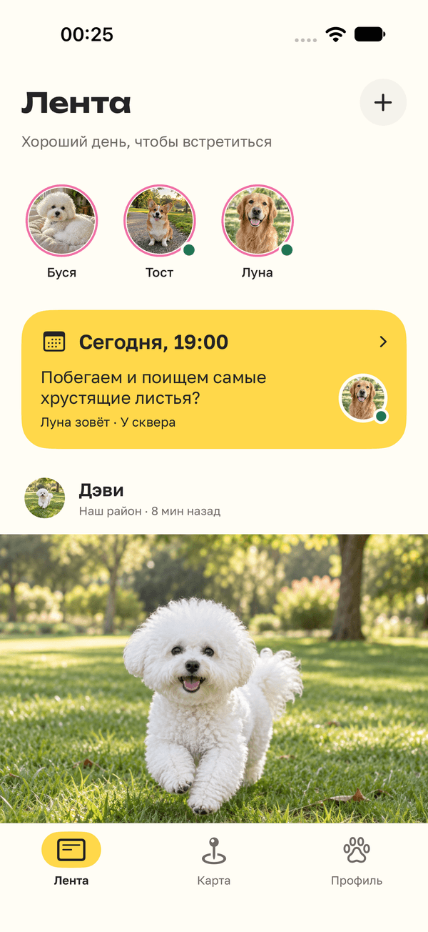 Экран ленты Хвостов — сторис друзей и приглашение на прогулку